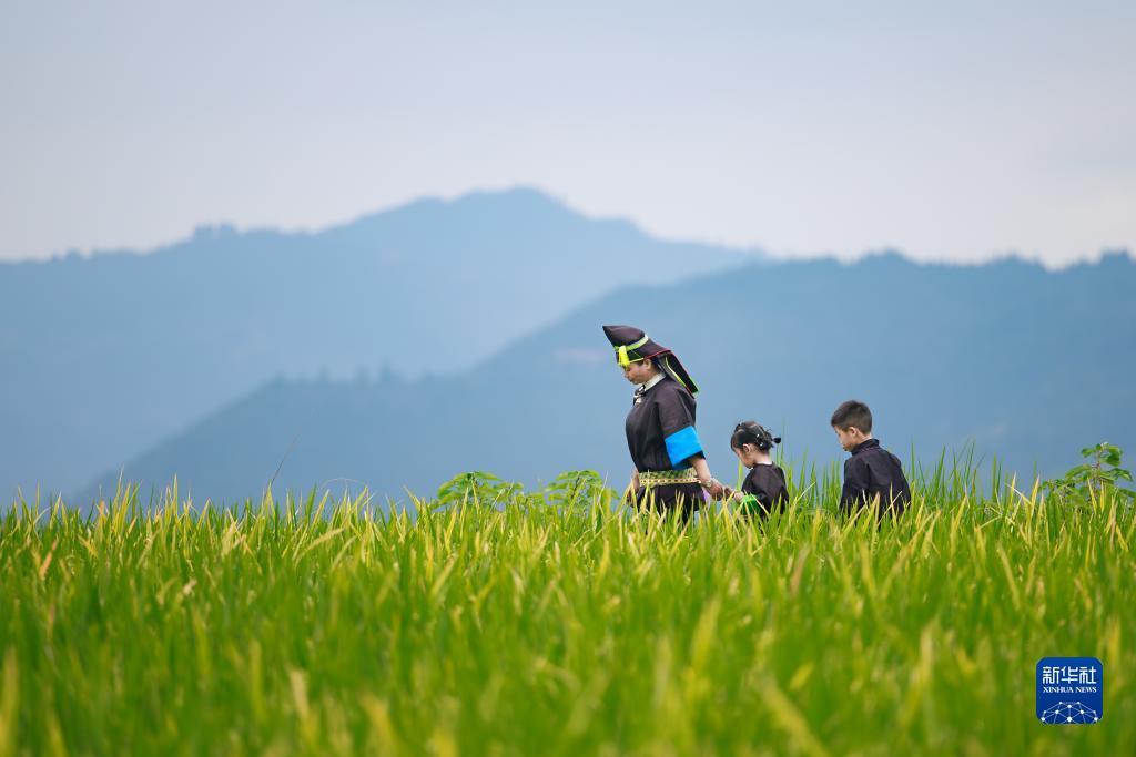 阳光在线平台
